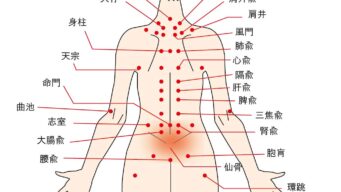 なぜ東洋医学は効くのか?──ツボ・鍼灸・漢方薬のしくみと魅力 なぜ東洋医学は効くのか?──ツボ・鍼灸・漢方薬のしくみと魅力